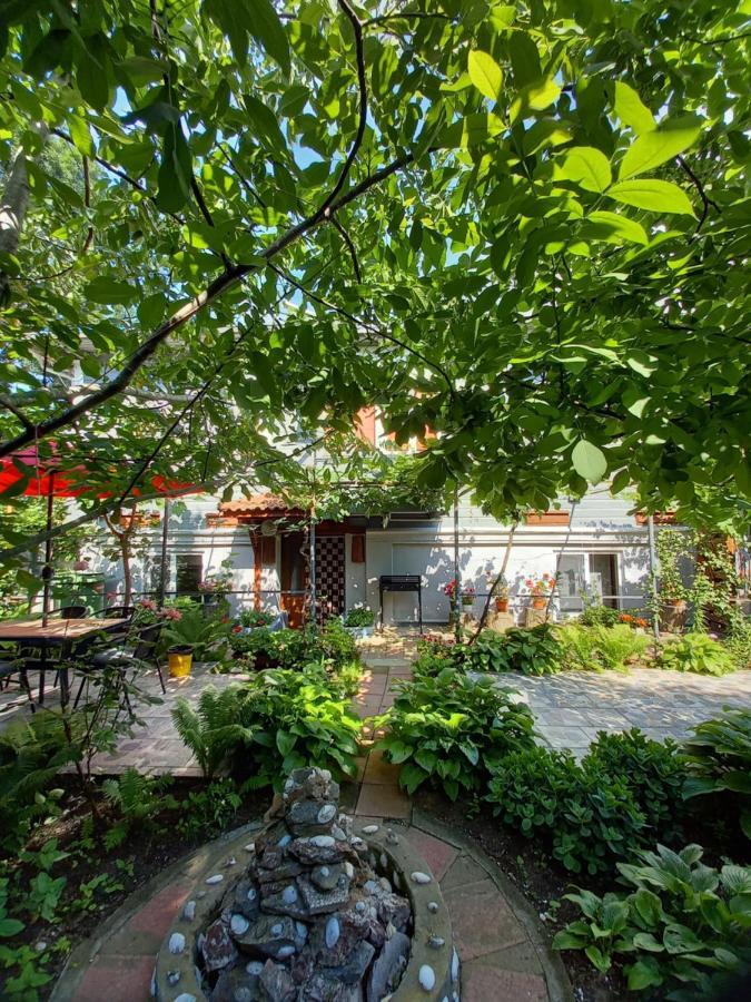Casa De Vacanta Rodica Sulina Esterno foto