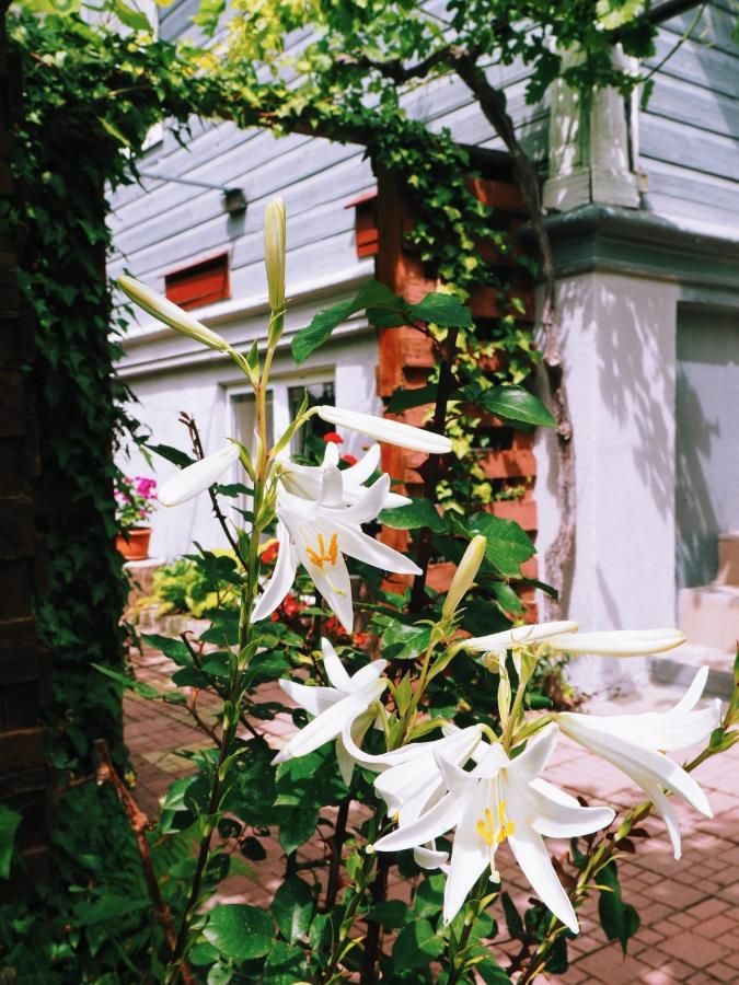 Casa De Vacanta Rodica Sulina Esterno foto