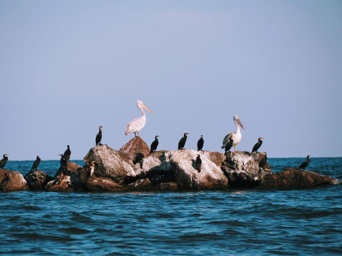 Casa De Vacanta Rodica Sulina Esterno foto